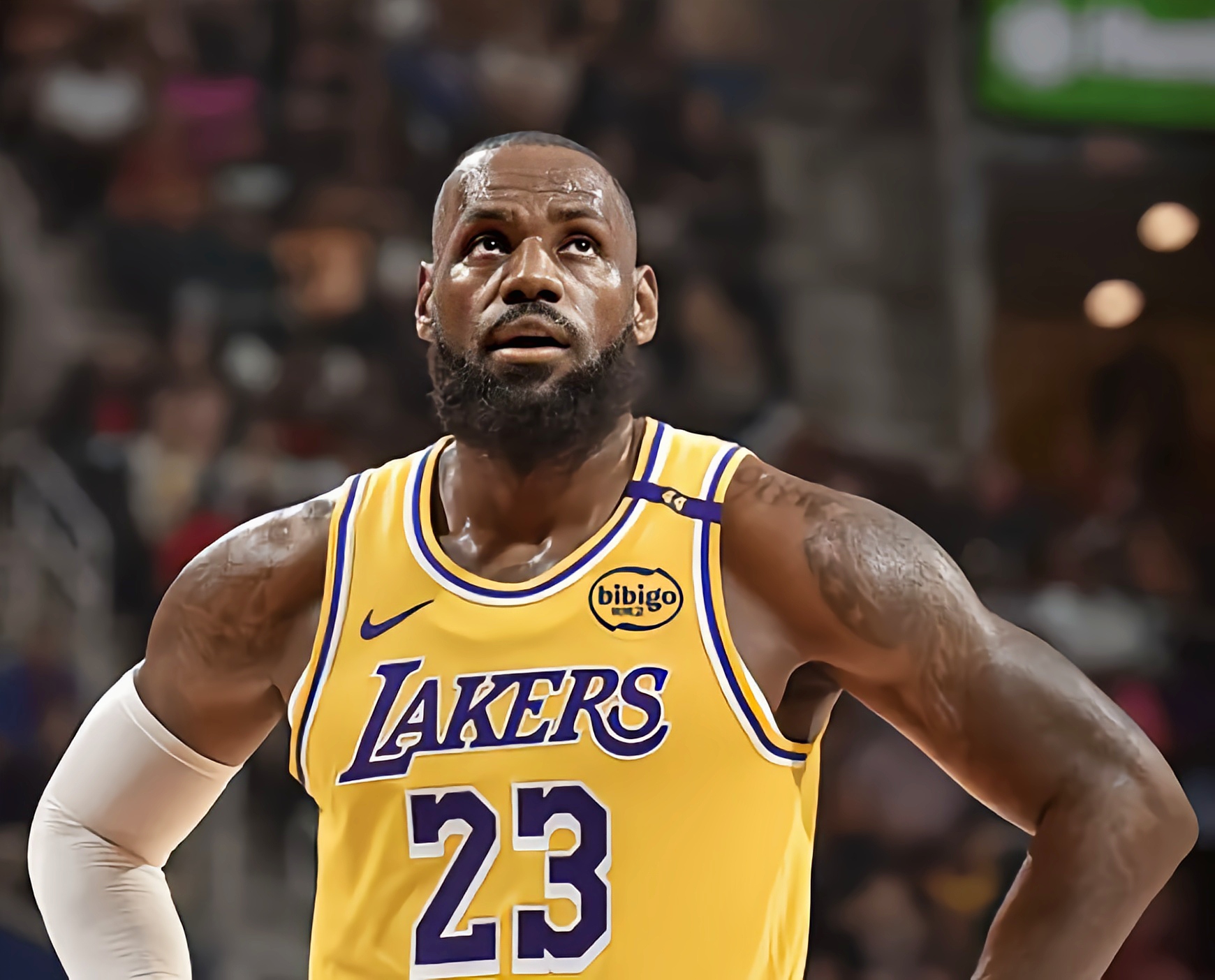 猛龙客场大胜湖人,豪取五连胜的简单介绍 猛龙客场大胜湖人,豪取五连胜的简单介绍