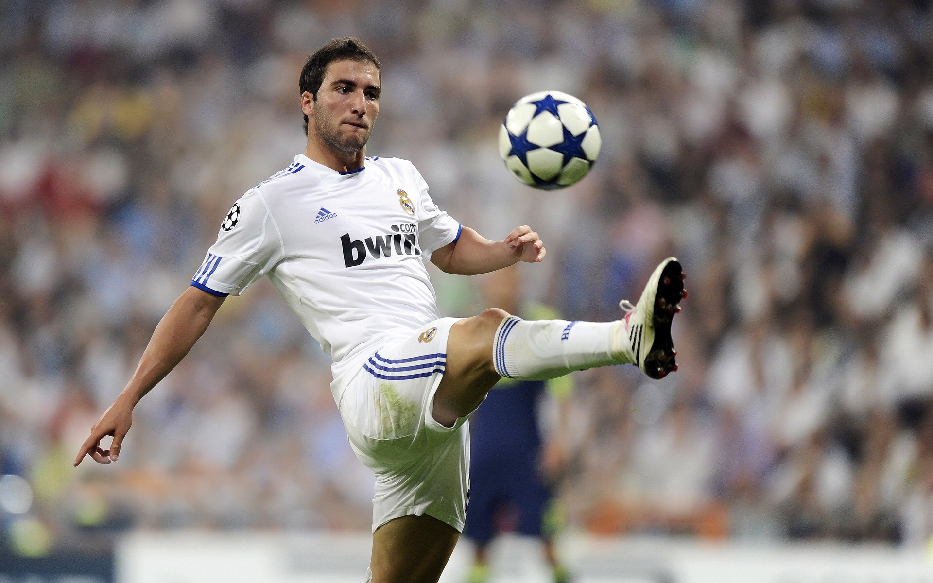 欧冠半决赛焦点战，丹麦童话续写，沙特黑马征程止步